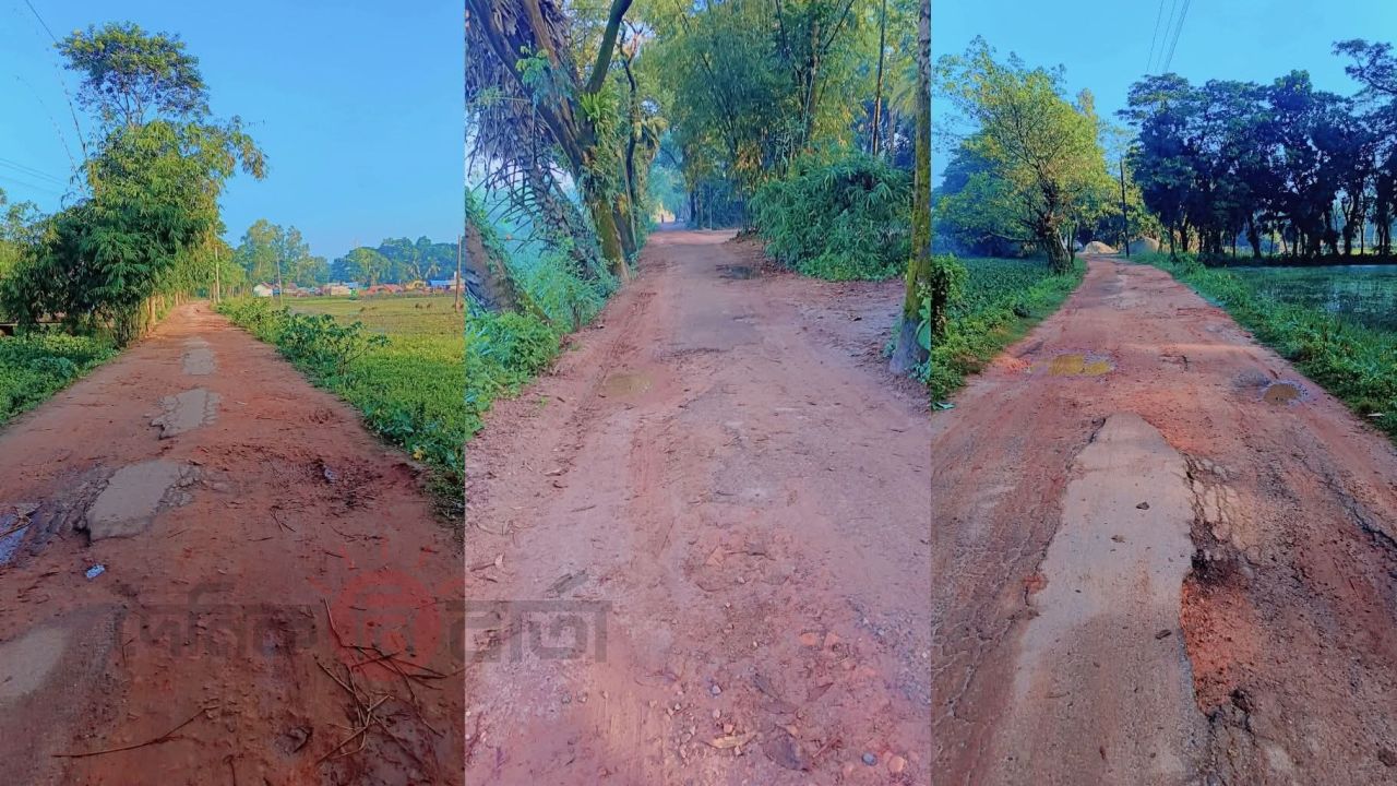 ছাতারপাইয়া–মানিকমুড়া সড়কে চরম ভোগান্তি